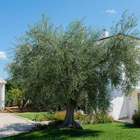 أورتونا B&B Casale Savini المظهر الخارجي الصورة
